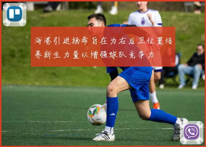 海港引进杨希旨在为右后卫位置培养新生力量以增强球队竞争力